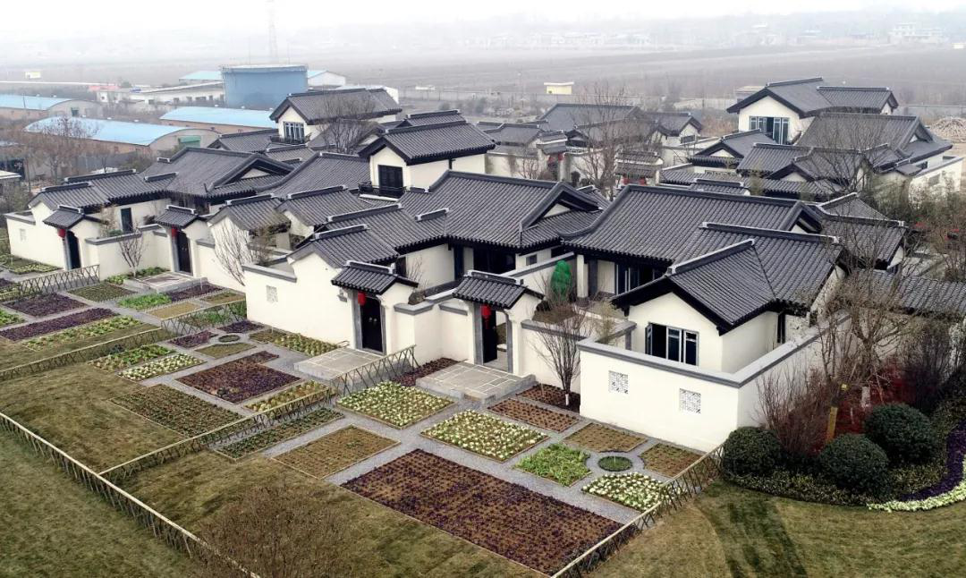 星空露营邂逅田园乌托邦 西安市高陵区“千人帐篷节”8月3日开幕