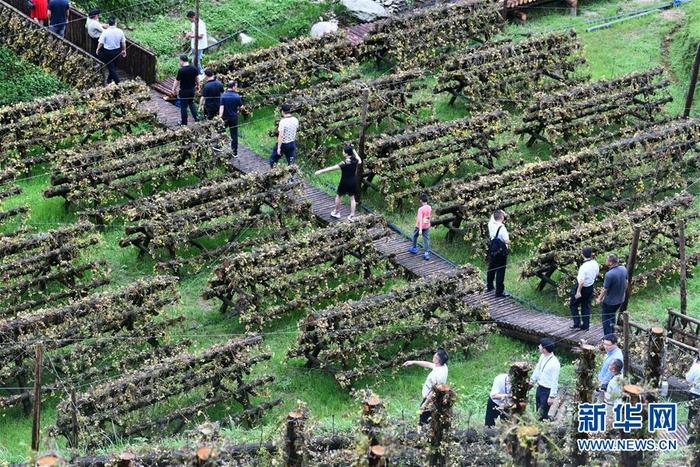 图片默认标题_fororder_1126143510_15927869633871n