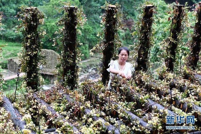 图片默认标题_fororder_1126143510_15927869631771n