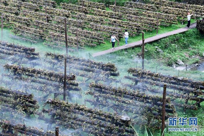 图片默认标题_fororder_1126143510_15927869635571n