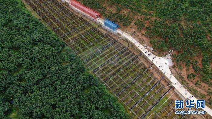 图片默认标题_fororder_1126143510_15927869638591n