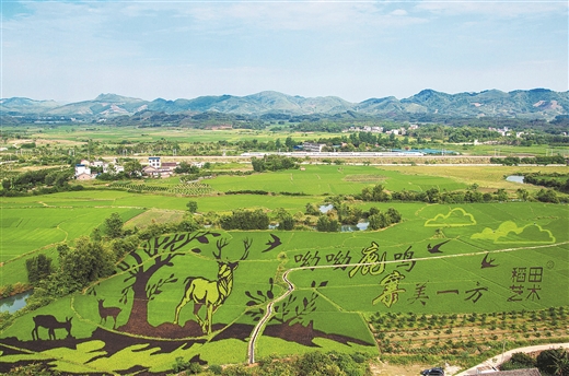 【焦点图】(页面标题)柳州:引领区域特色产业发展(内容页标题) 优化政策 强化督导 引领区域特色产业发展 ——柳州市现代特色农业示范区创建工作掠影 【焦点图】(页面标题)柳州:引领区域特色产业发展(内容页标题) 优化政策 强化督导 引领区域特色产业发展 ——柳州市现代特色农业示范区创建工作掠影