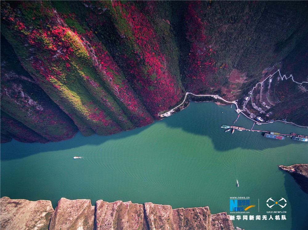 航拍長江三峽漫山紅葉美景