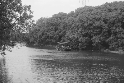 【地市 莆田】【滚动新闻】莆田市创建美丽中国的示范区:将河道治理项目建成精品工程 【地市 莆田】【滚动新闻】莆田市创建美丽中国的示范区:将河道治理项目建成精品工程