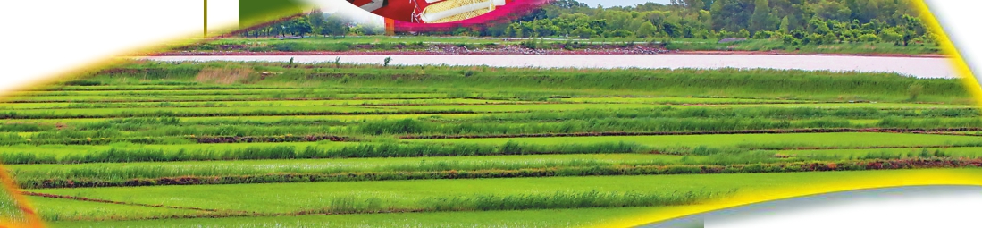 做强绿色食品大产业激发富民振兴新活力