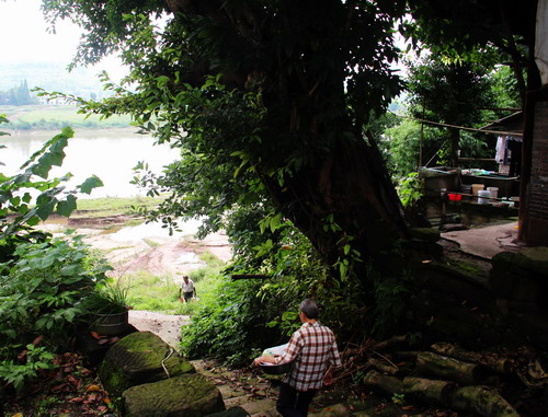 图片默认标题_fororder_2406ac00-04fe-450f-8390-1665e016056e