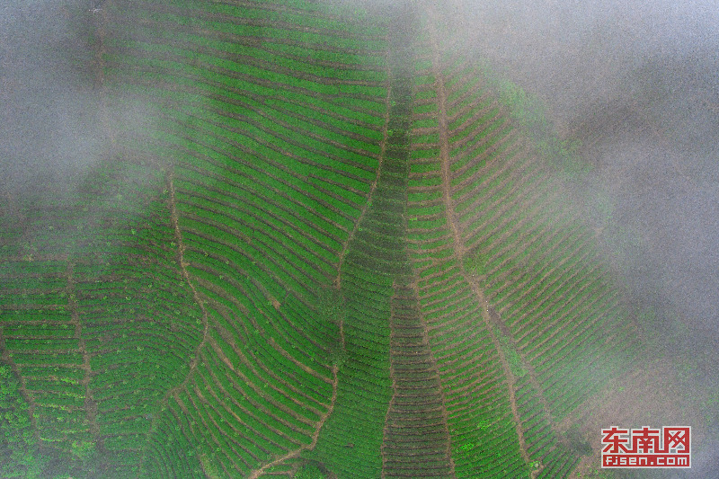 永春：云雾缭绕似仙境