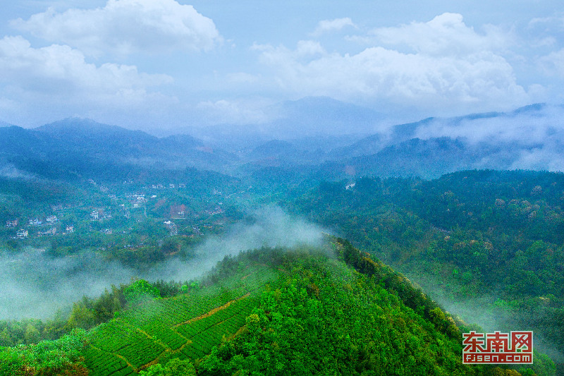 永春：云雾缭绕似仙境