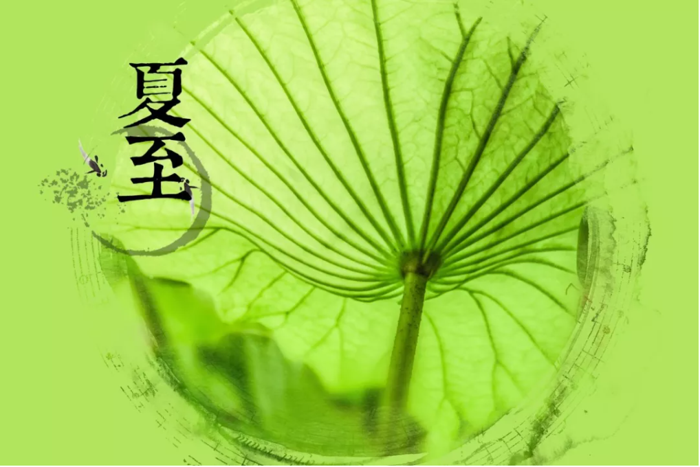 夏至已至，这些古典诗词送你清凉一夏