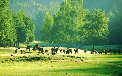 2019中国美丽乡村休闲旅游行夏季精品路线_fororder_ZSUfPF0lht6Ae1u6AAZUS3qB_Ps679