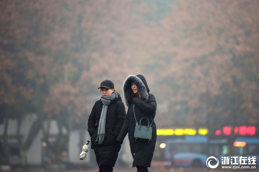 雨雾西湖 游兴不减