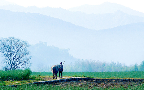 走进安徽黟县：休闲乡村入画来_fororder_ZSUfPFydyauAApFWAAUZdcUCgFQ814