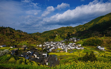 走进安徽黟县“五黑”产业黑又多_fororder_ZSUfPFyckOWALa0-AAaZWkJj_E0777