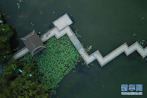 图片默认标题_fororder_1124785389_15638376881271n