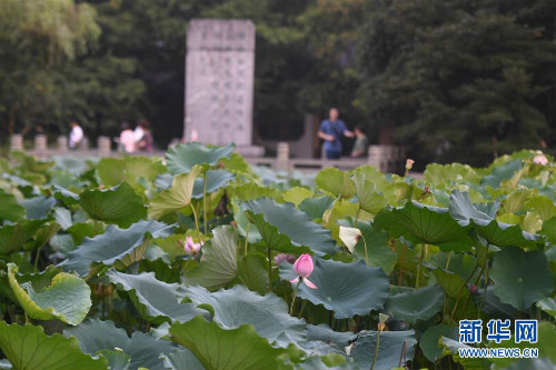 图片默认标题_fororder_1124785389_15638376881251n