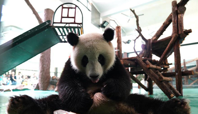 图片默认标题_fororder_动物园1