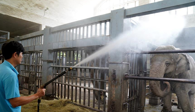 图片默认标题_fororder_动物园2