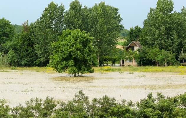 塞尔维亚暴雨导致洪灾 7城陷入紧急状态