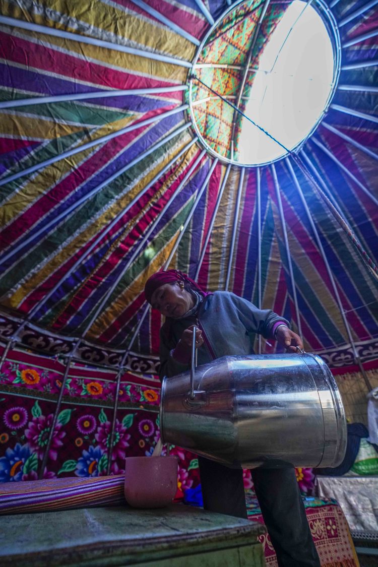 新疆：戈壁滩上发“驼财”