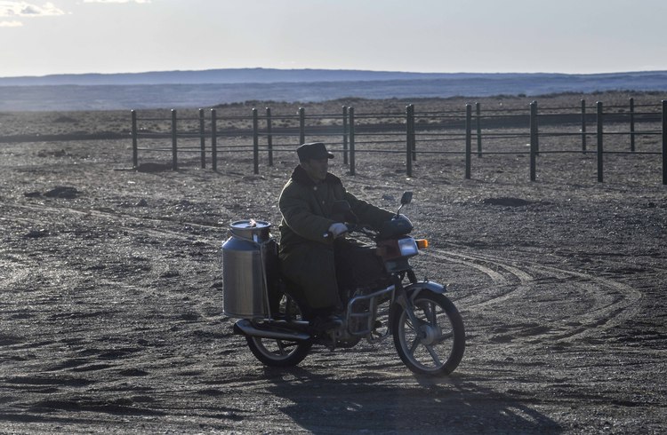 新疆：戈壁滩上发“驼财”