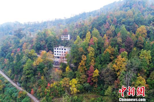 Chongqing ျမိဳ႔ရဲ႔ ေရာင္စုံလွပတဲ႔ ရာသီေရာက္ျပီ။
