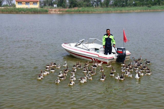 Wetland မွ က်ေနာ္ရခဲ့တဲ့ အသိအျမင္တစ္ခု