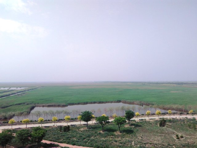 Wetland မွ က်ေနာ္ရခဲ့တဲ့ အသိအျမင္တစ္ခု
