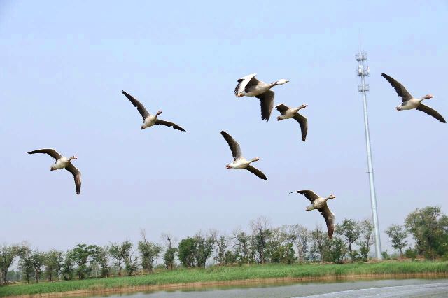 Wetland မွ က်ေနာ္ရခဲ့တဲ့ အသိအျမင္တစ္ခု