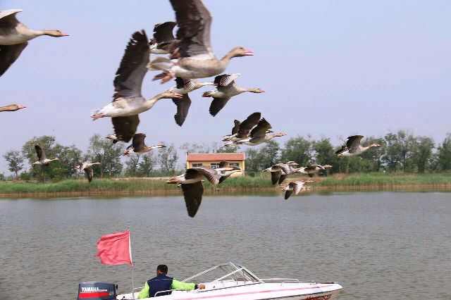 Wetland မွ က်ေနာ္ရခဲ့တဲ့ အသိအျမင္တစ္ခု