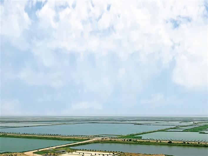 層巒疊翠 水波瀲艷  ——渭南黃河流域生態保護見聞