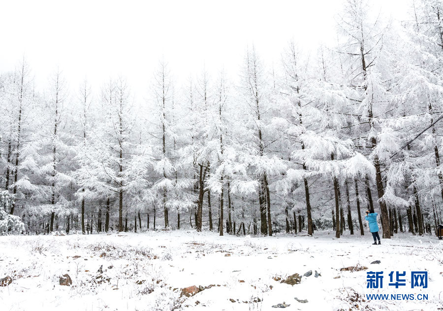 霧凇雪景 幀幀如畫