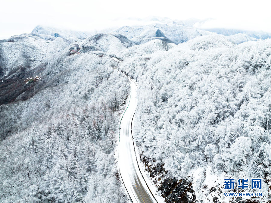 雾凇雪景 帧帧如画