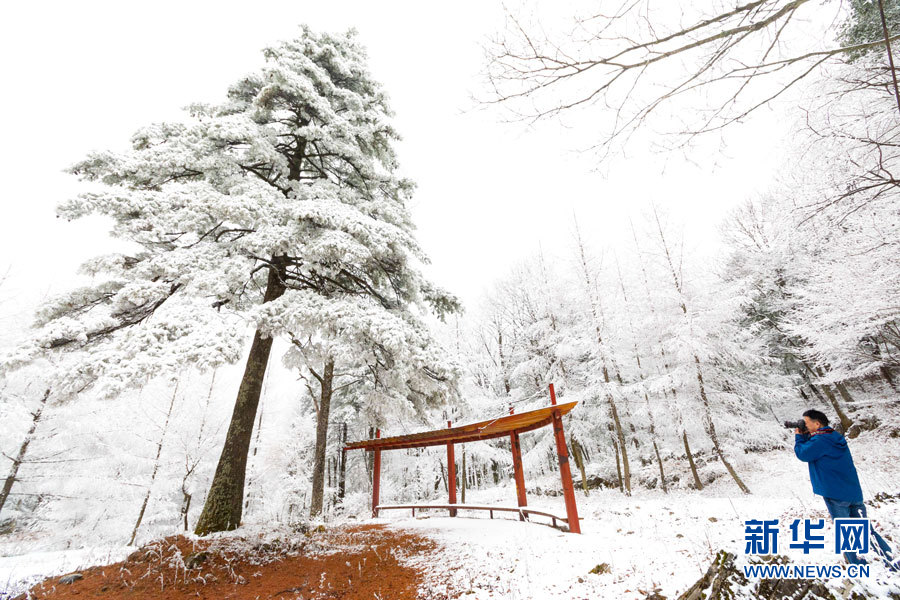 霧凇雪景 幀幀如畫