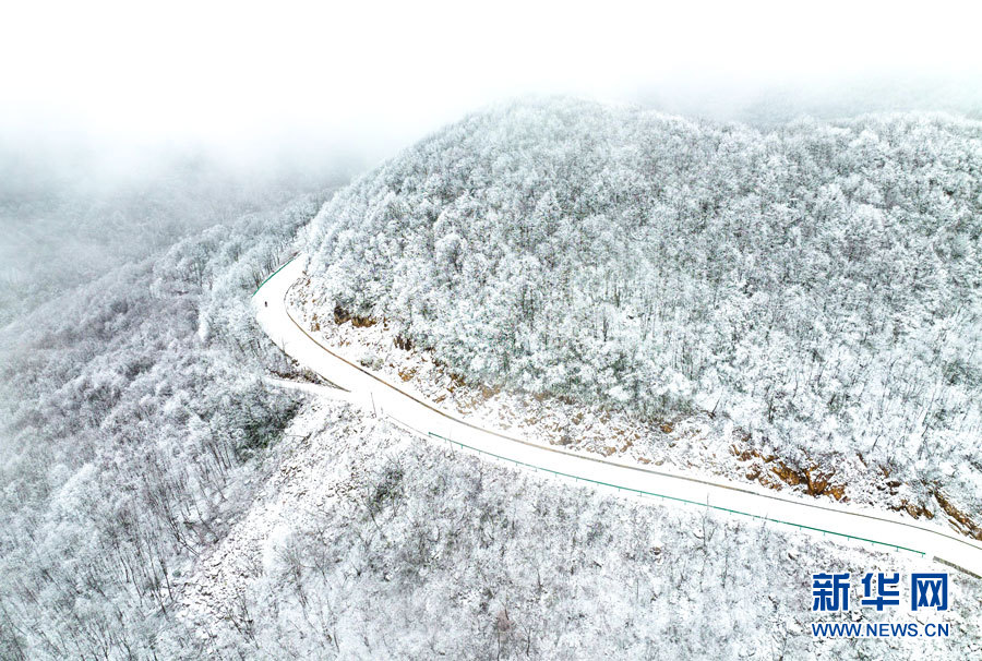 霧凇雪景 幀幀如畫