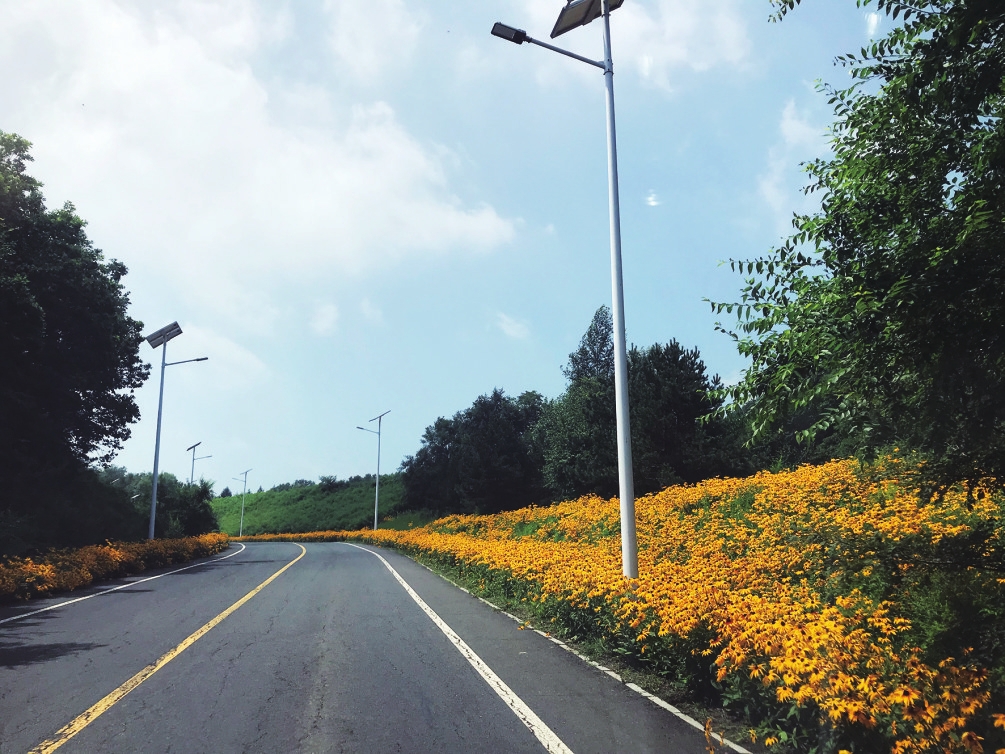 长春农村环境集中整治：一场美丽乡村建设的持久战