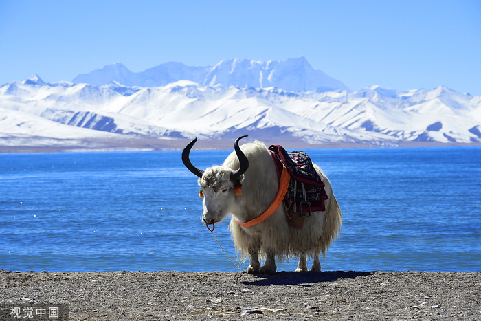 图片默认标题_fororder_VCG21gic20070978