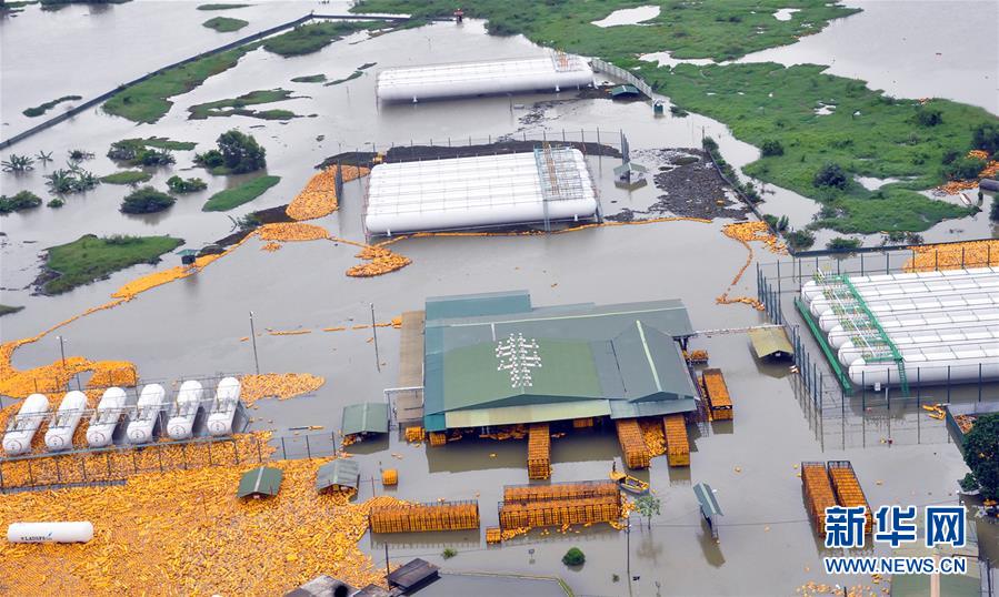 斯里兰卡洪灾和山体滑坡已造成58人死亡