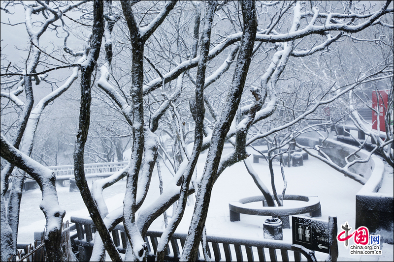 黃山風景區入冬以來第一場雪如期而至