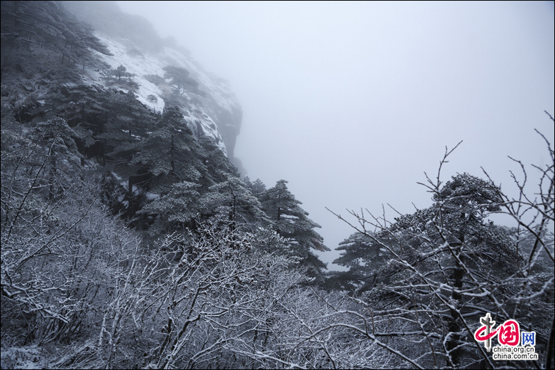 黃山風景區入冬以來第一場雪如期而至