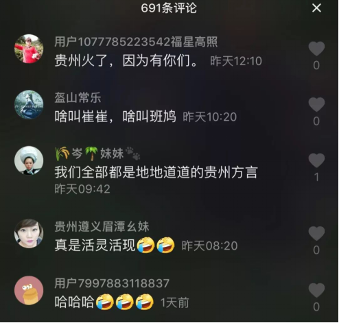 贵州双胞胎兄弟用方言传播家乡文化走红抖音   网友：民间代言人