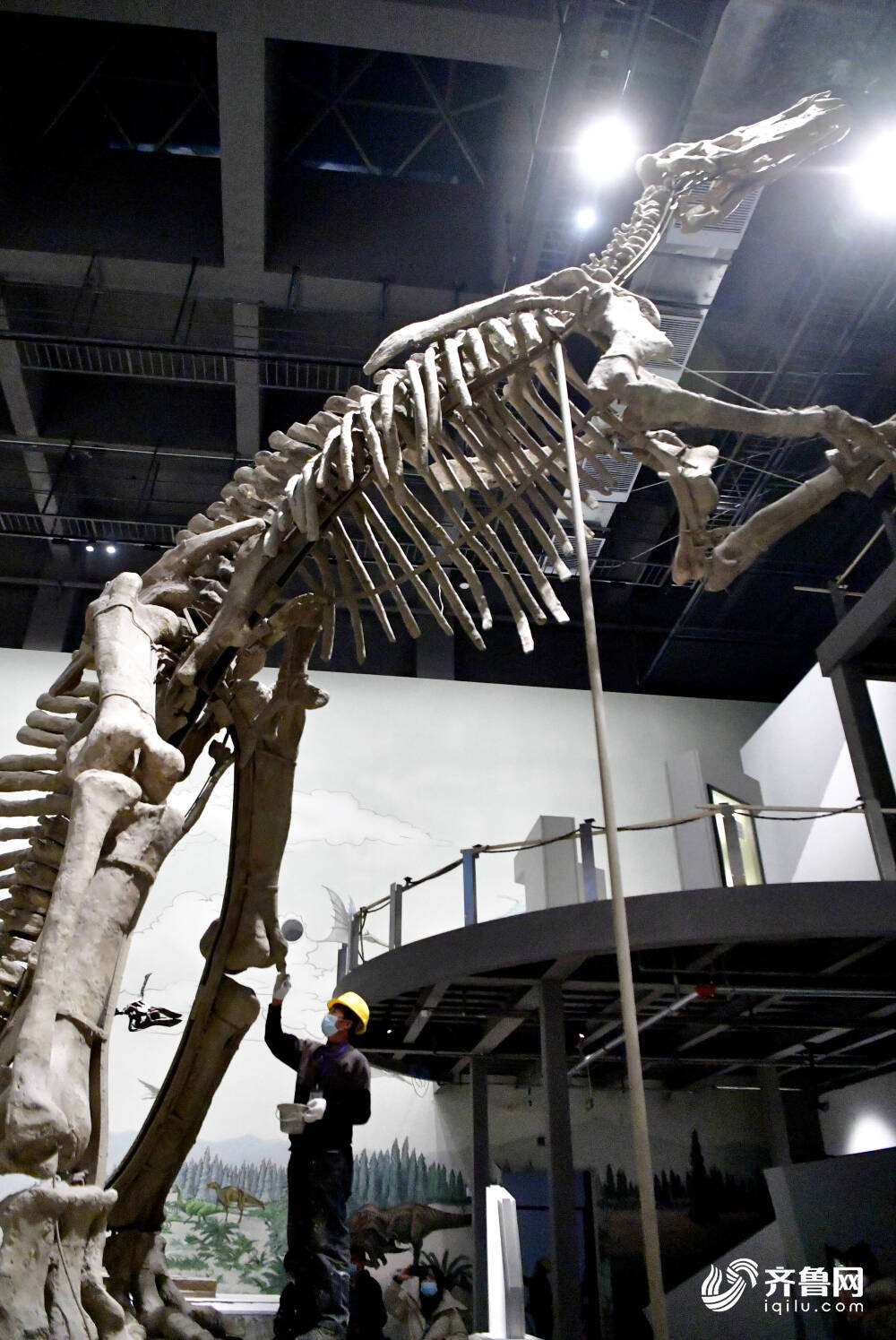 恐龙里的“山东大汉”！巨型山东龙11年后重现省博 山东博物馆两大新展即将上演