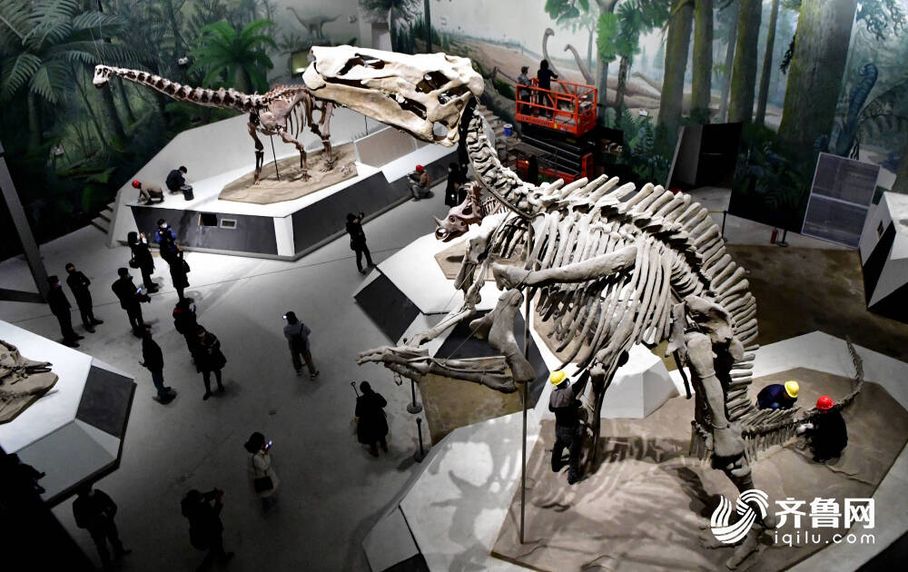 恐龙里的“山东大汉”！巨型山东龙11年后重现省博 山东博物馆两大新展即将上演
