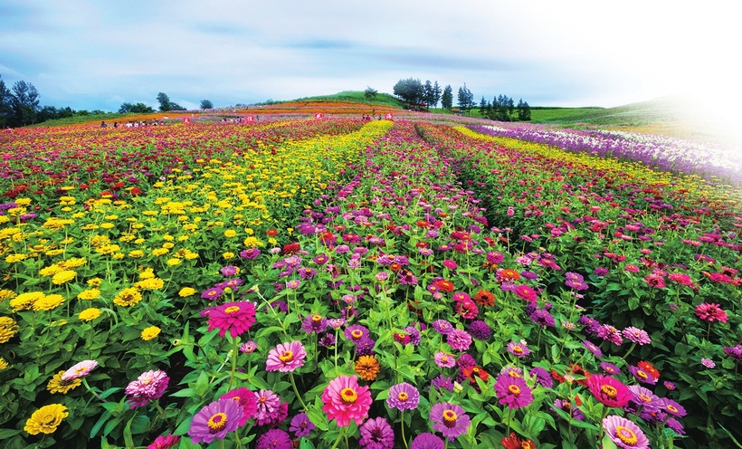 吉林桦甸打造四季全域文化旅游产业新格局