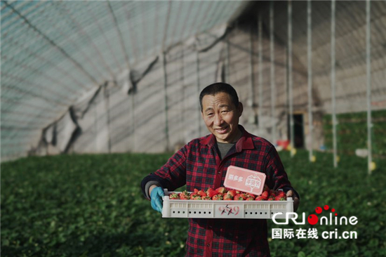 拼多多启动年货节：携手上千农副产品品牌，百亿补贴助推城乡“年货共享”_fororder_image007