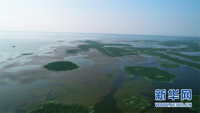 湖北再添3個國家級濕地公園 總數位列全國第三