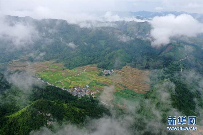 图片默认标题_fororder_1210212656_15639680781011n