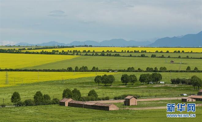 图片默认标题_fororder_1124794961_15639780001561n