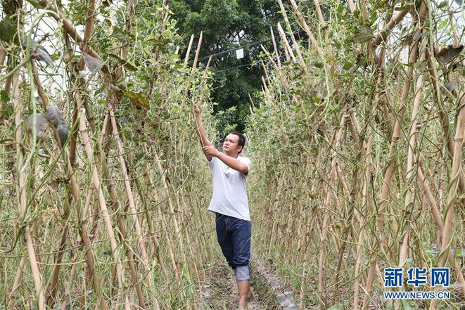 图片默认标题_fororder_1124794887_15639764155631n