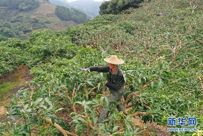 图片默认标题_fororder_1124794887_15639764155271n