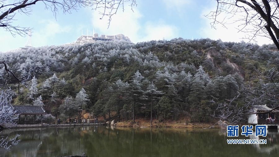 银装素裹如仙境！德化九仙山现雾凇美景